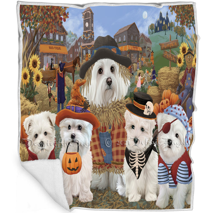 Halloween 'Round Town And Fall Pumpkin Scarecrow Both Maltese Dogs Blanket BLNKT139052