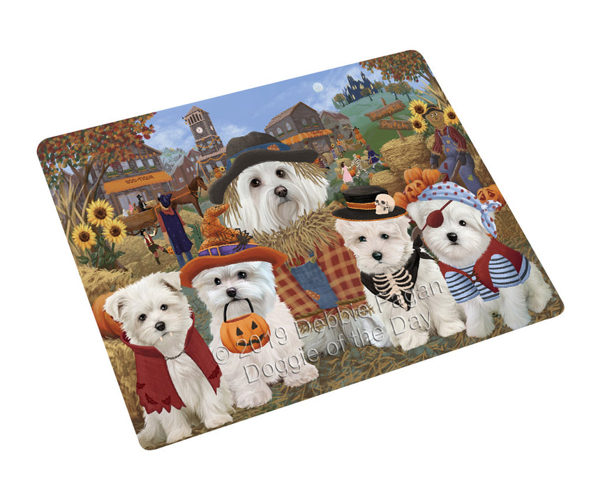 Halloween 'Round Town And Fall Pumpkin Scarecrow Both Maltese Dogs Large Refrigerator / Dishwasher Magnet RMAG104490