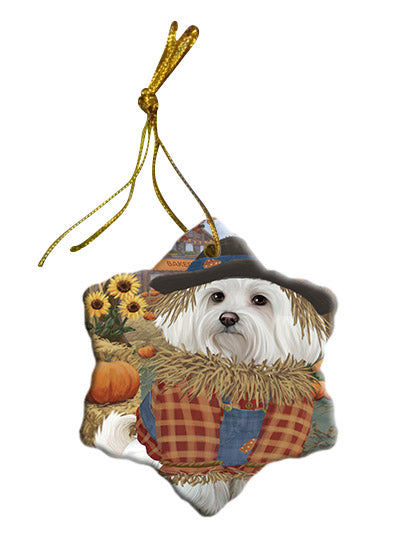 Fall Pumpkin Scarecrow Maltese Dogs Star Porcelain Ornament SPOR57571