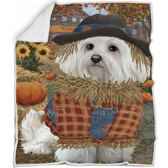 Halloween 'Round Town And Fall Pumpkin Scarecrow Both Maltese Dogs Blanket BLNKT139601
