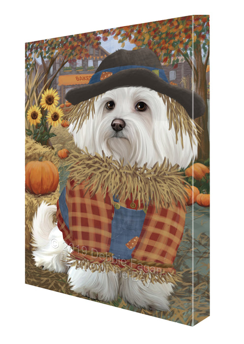 Halloween 'Round Town And Fall Pumpkin Scarecrow Both Maltese Dogs Canvas Print Wall Art Décor CVS140228