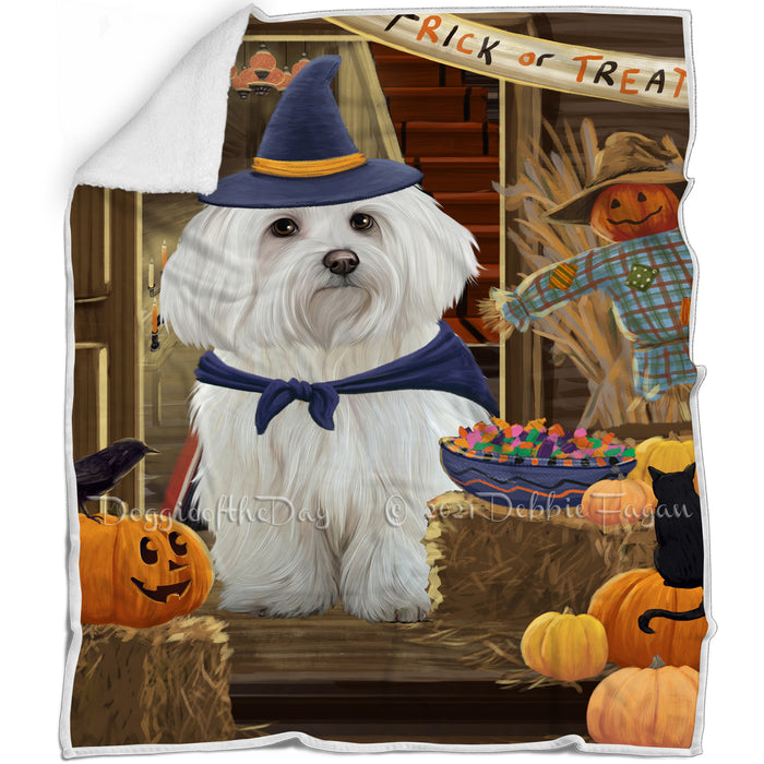 Enter at Own Risk Trick or Treat Halloween Maltese Dog Blanket BLNKT96042