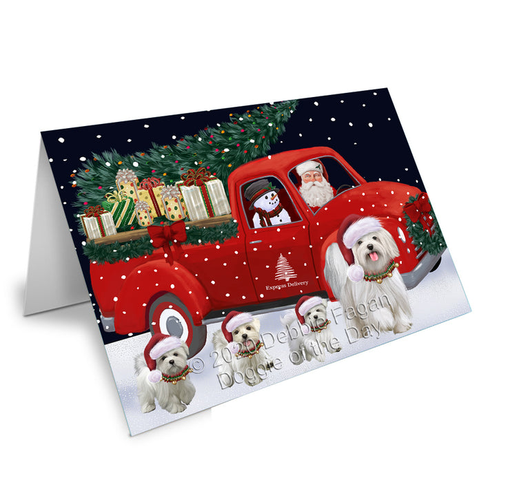 Christmas Express Delivery Red Truck Running Maltese Dogs Handmade Artwork Assorted Pets Greeting Cards and Note Cards with Envelopes for All Occasions and Holiday Seasons GCD75164
