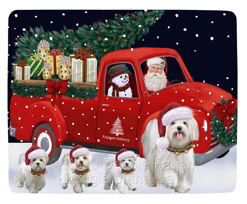 Christmas Express Delivery Red Truck Running Maltese Dogs Blanket BLNKT141858