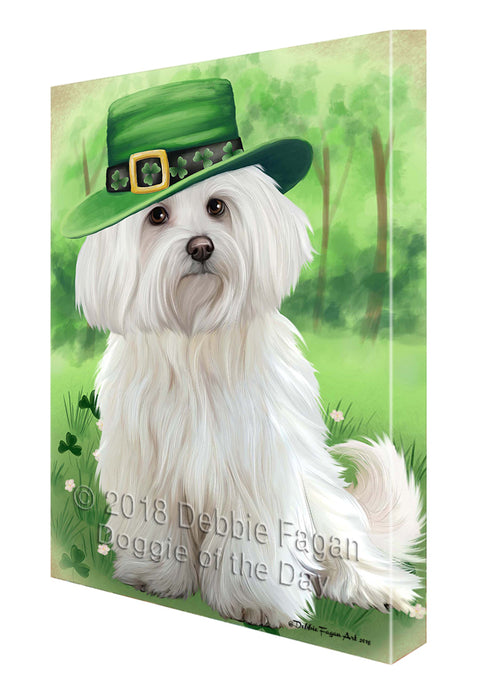 St. Patricks Day Irish Portrait Maltese Dog Canvas Wall Art CVS55110