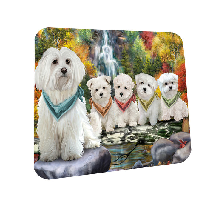 Scenic Waterfall Malteses Dog Coasters Set of 4 CST49411