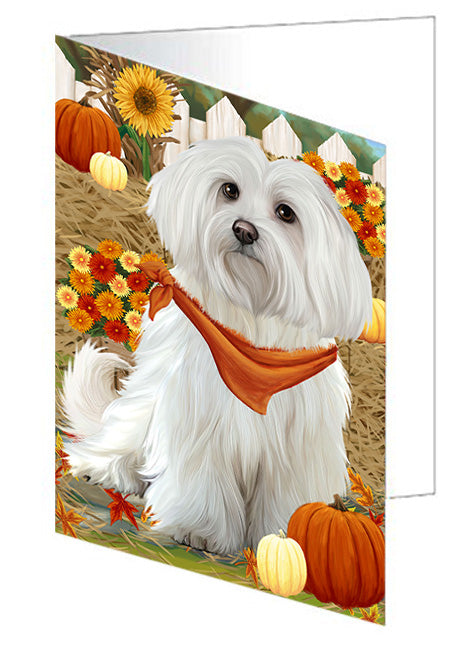 Fall Autumn Greeting Maltese Dog with Pumpkins Handmade Artwork Assorted Pets Greeting Cards and Note Cards with Envelopes for All Occasions and Holiday Seasons GCD56363