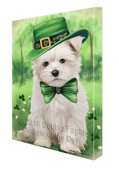 St. Patricks Day Irish Portrait Maltese Dog Canvas Wall Art CVS55119