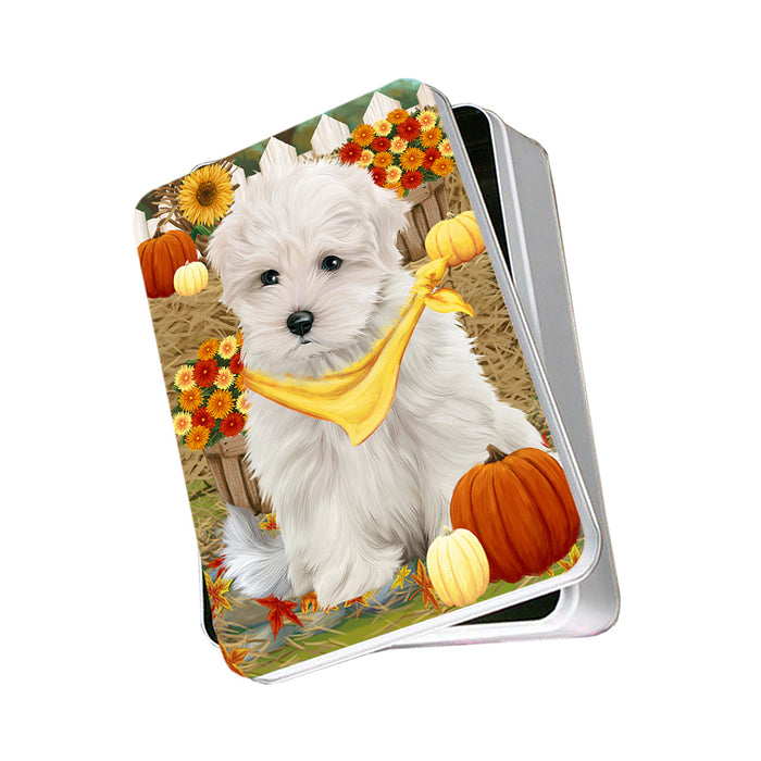 Fall Autumn Greeting Maltese Dog with Pumpkins Photo Storage Tin PITN50779