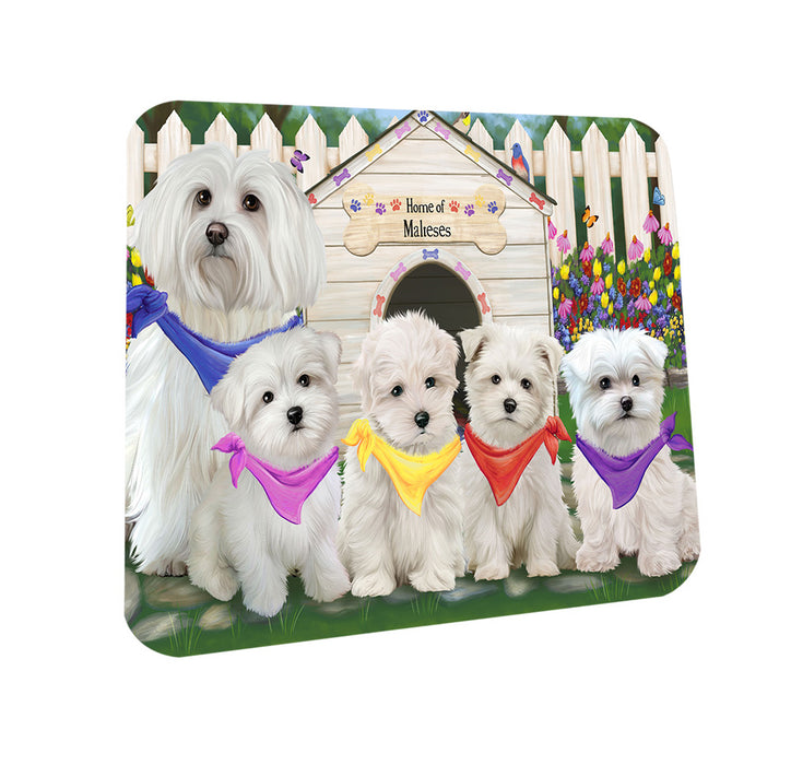 Spring Dog House Malteses Dog Coasters Set of 4 CST49870