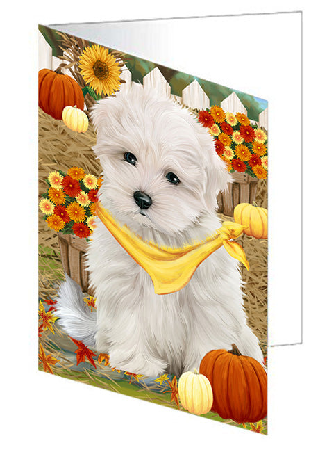 Fall Autumn Greeting Maltese Dog with Pumpkins Handmade Artwork Assorted Pets Greeting Cards and Note Cards with Envelopes for All Occasions and Holiday Seasons GCD56366