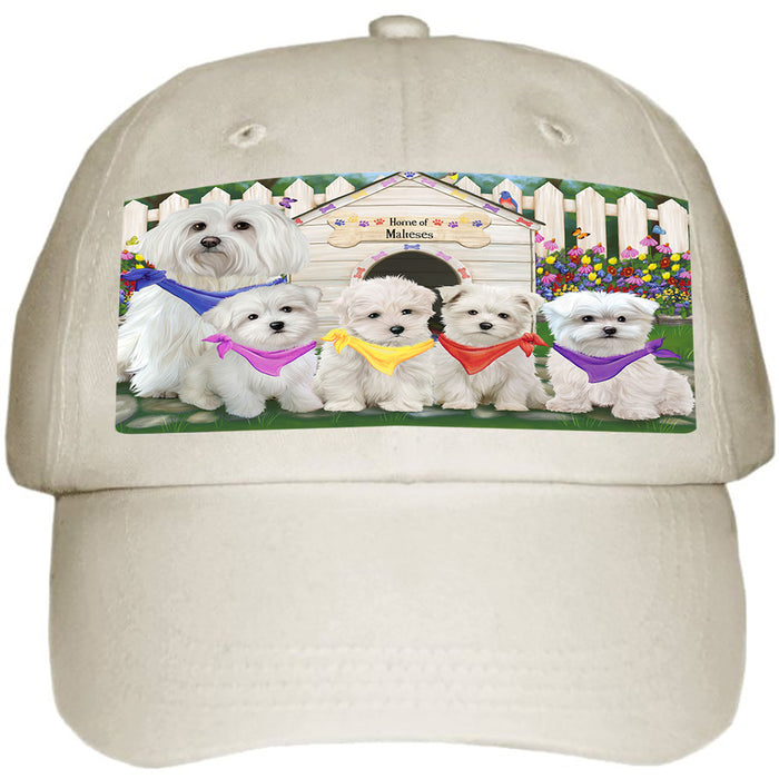 Spring Dog House Malteses Dog Ball Hat Cap HAT53466