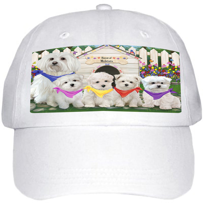 Spring Dog House Malteses Dog Ball Hat Cap HAT53466