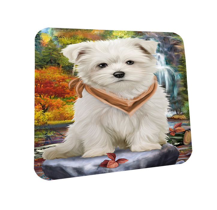 Scenic Waterfall Maltese Dog Coasters Set of 4 CST49412