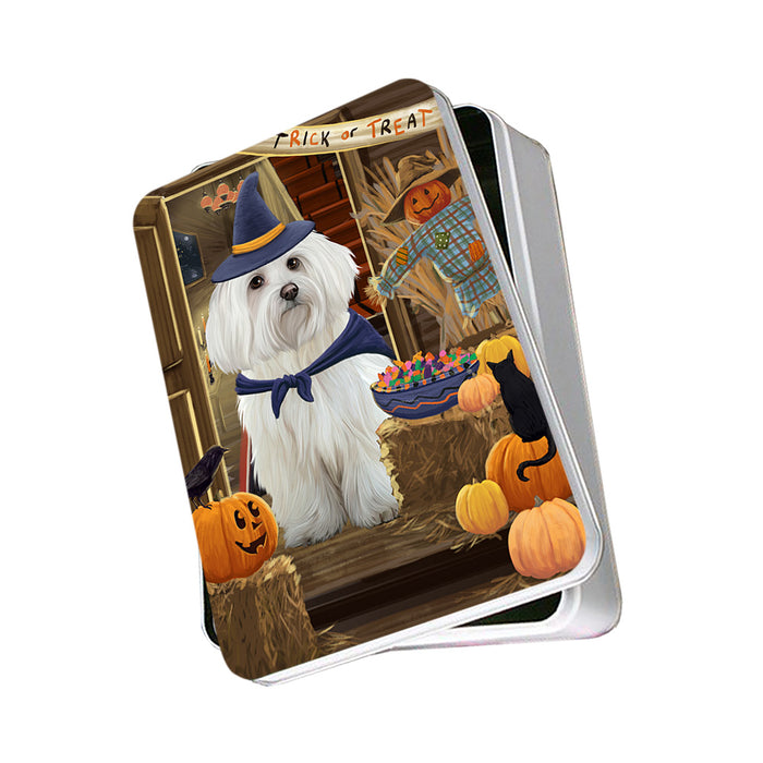 Enter at Own Risk Trick or Treat Halloween Maltese Dog Photo Storage Tin PITN53189