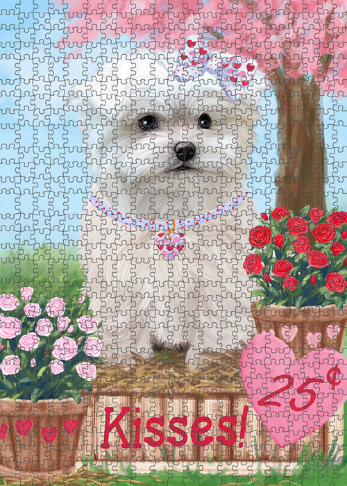 Rosie 25 Cent Kisses Maltese Dog Puzzle with Photo Tin PUZL92072
