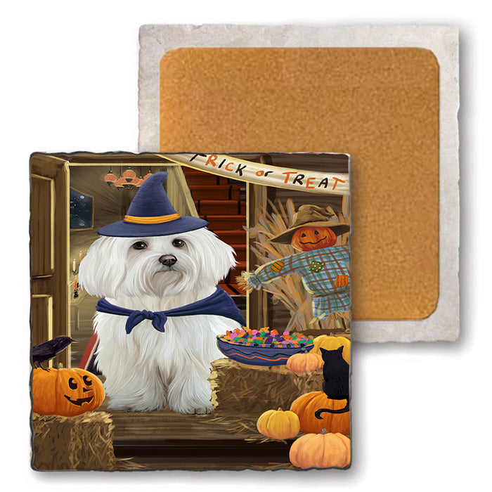 Enter at Own Risk Trick or Treat Halloween Maltese Dog Set of 4 Natural Stone Marble Tile Coasters MCST48189