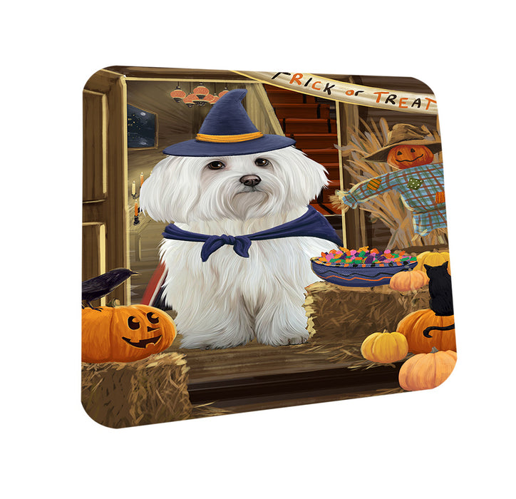 Enter at Own Risk Trick or Treat Halloween Maltese Dog Coasters Set of 4 CST53147