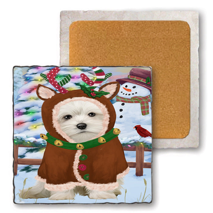 Christmas Gingerbread House Candyfest Maltese Dog Set of 4 Natural Stone Marble Tile Coasters MCST51451