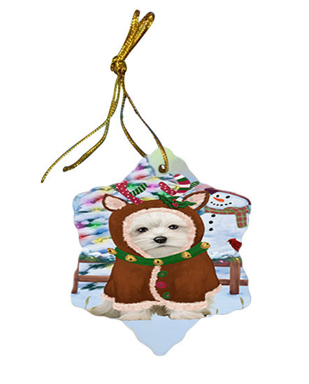 Christmas Gingerbread House Candyfest Maltese Dog Star Porcelain Ornament SPOR56807