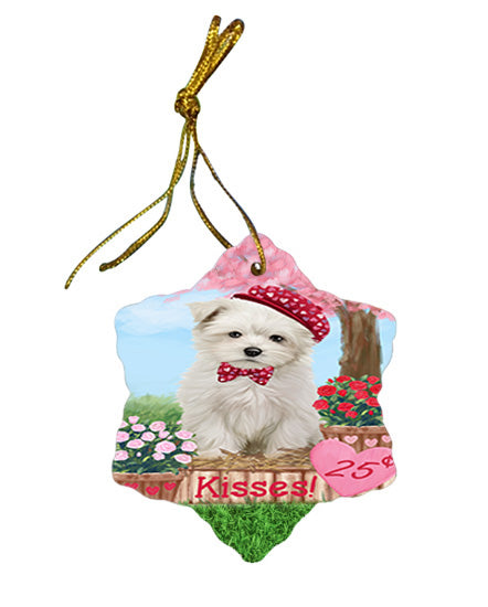 Rosie 25 Cent Kisses Maltese Dog Star Porcelain Ornament SPOR56325