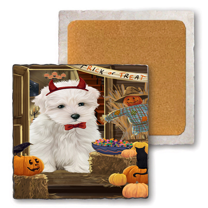 Enter at Own Risk Trick or Treat Halloween Maltese Dog Set of 4 Natural Stone Marble Tile Coasters MCST48192