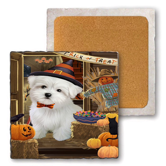 Enter at Own Risk Trick or Treat Halloween Maltese Dog Set of 4 Natural Stone Marble Tile Coasters MCST48193