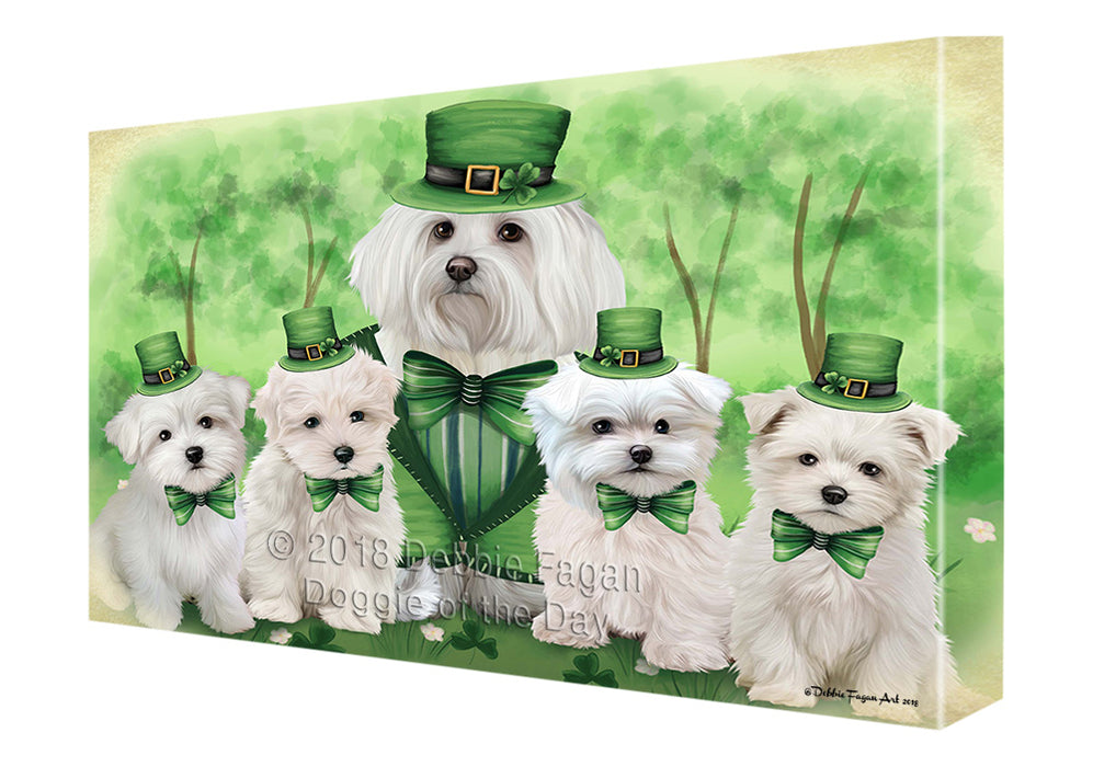 St. Patricks Day Irish Portrait Malteses Dog Canvas Wall Art CVS58872