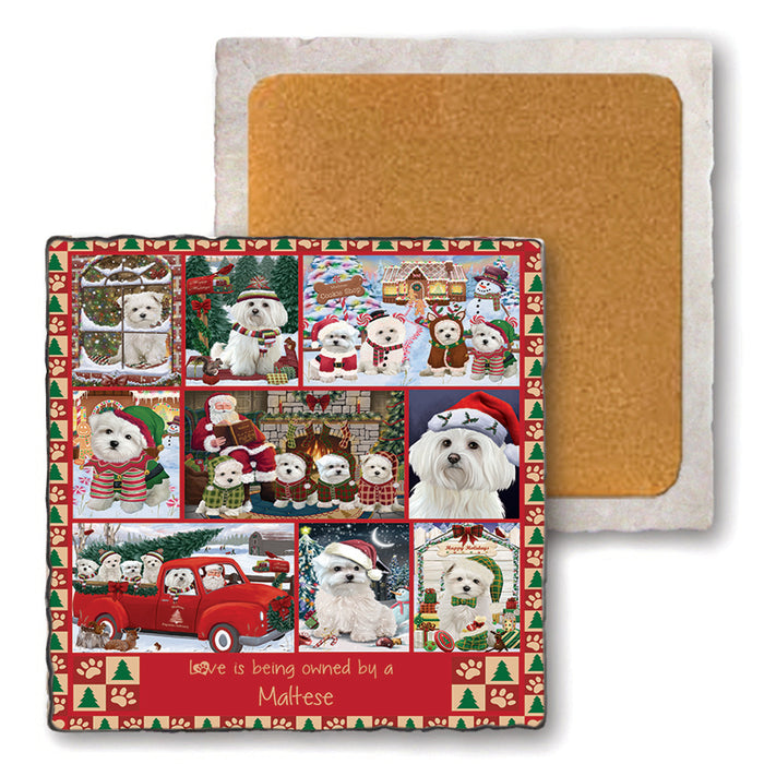 Love is Being Owned Christmas Maltese Dogs Set of 4 Natural Stone Marble Tile Coasters MCST52238