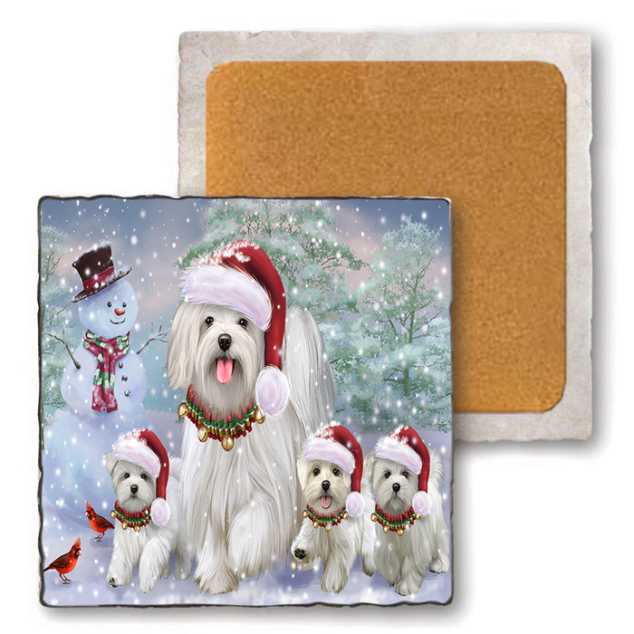 Christmas Running Family Malteses Dog Set of 4 Natural Stone Marble Tile Coasters MCST50470