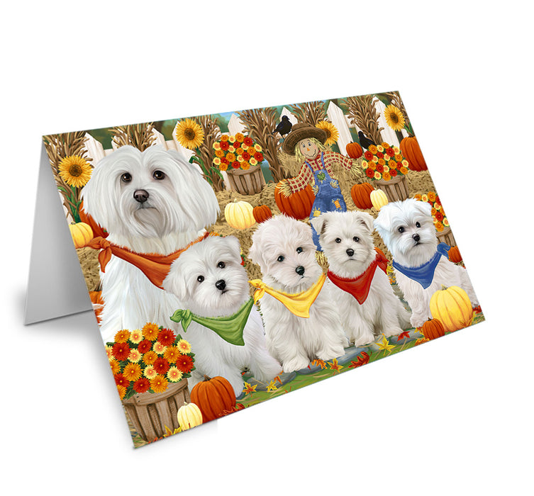 Fall Festive Gathering Malteses Dog with Pumpkins Handmade Artwork Assorted Pets Greeting Cards and Note Cards with Envelopes for All Occasions and Holiday Seasons GCD55982