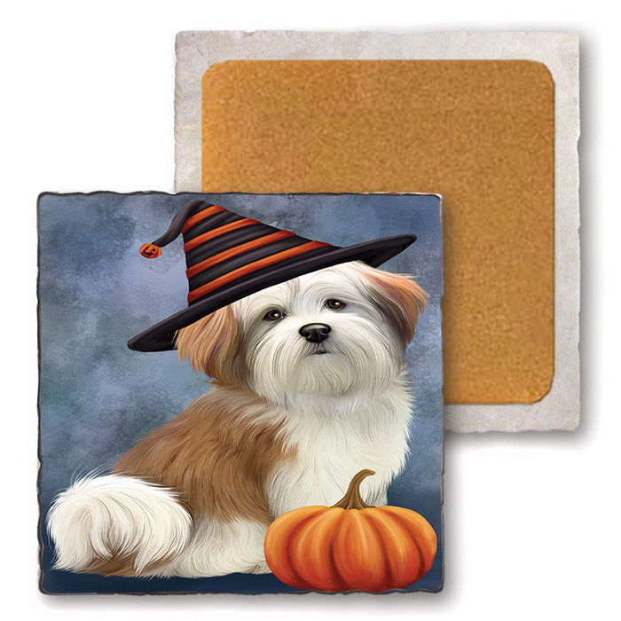 Happy Halloween Malti Tzu Dog Wearing Witch Hat with Pumpkin Set of 4 Natural Stone Marble Tile Coasters MCST49738