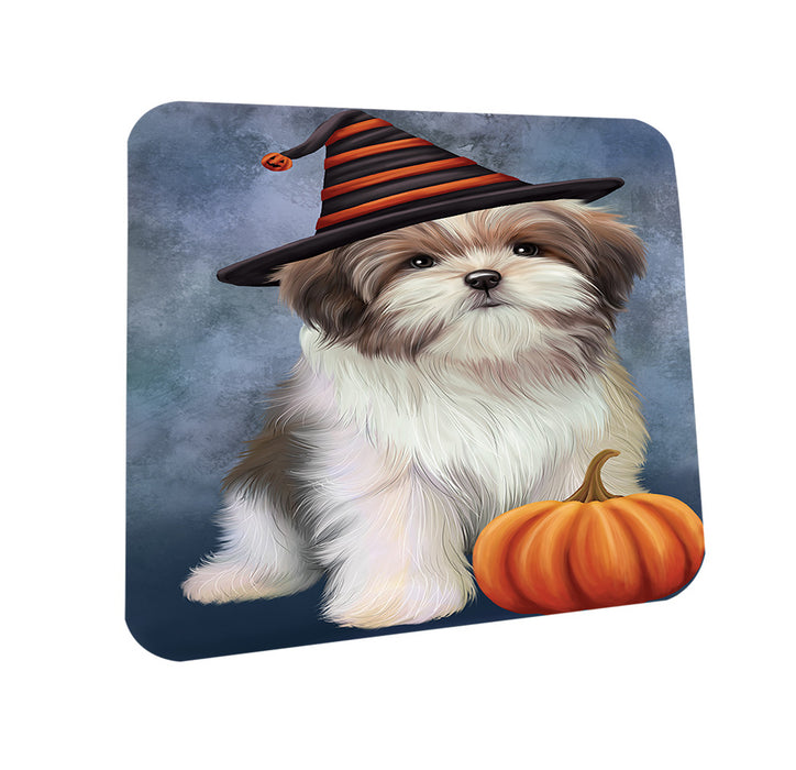 Happy Halloween Malti Tzu Dog Wearing Witch Hat with Pumpkin Coasters Set of 4 CST54697