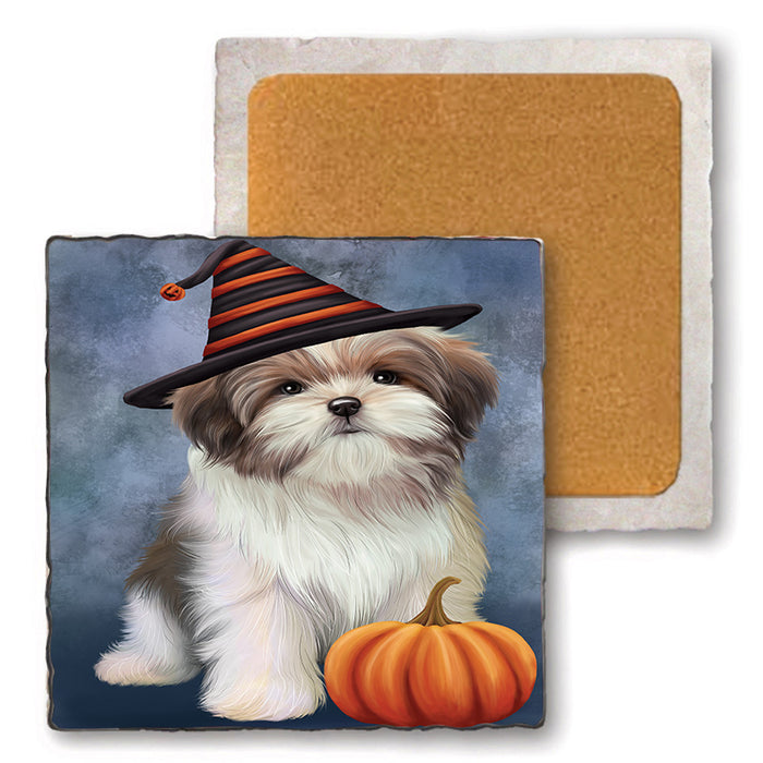 Happy Halloween Malti Tzu Dog Wearing Witch Hat with Pumpkin Set of 4 Natural Stone Marble Tile Coasters MCST49739