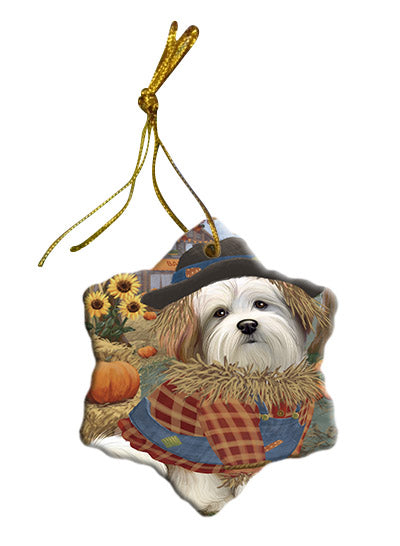 Fall Pumpkin Scarecrow Malti Tzu Dogs Star Porcelain Ornament SPOR57572