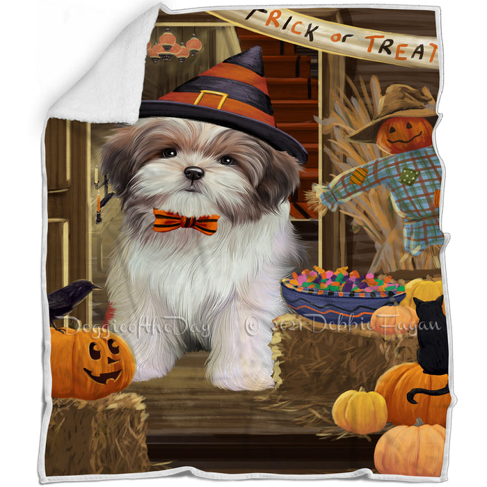 Enter at Own Risk Trick or Treat Halloween Malti Tzu Dog Blanket BLNKT96123