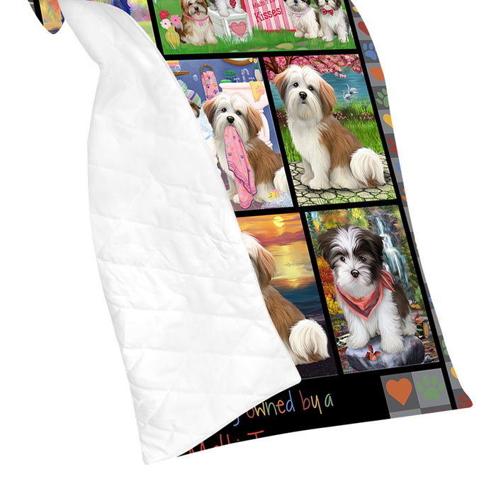 Love is Being Owned Malti Tzu Dog Grey Quilt