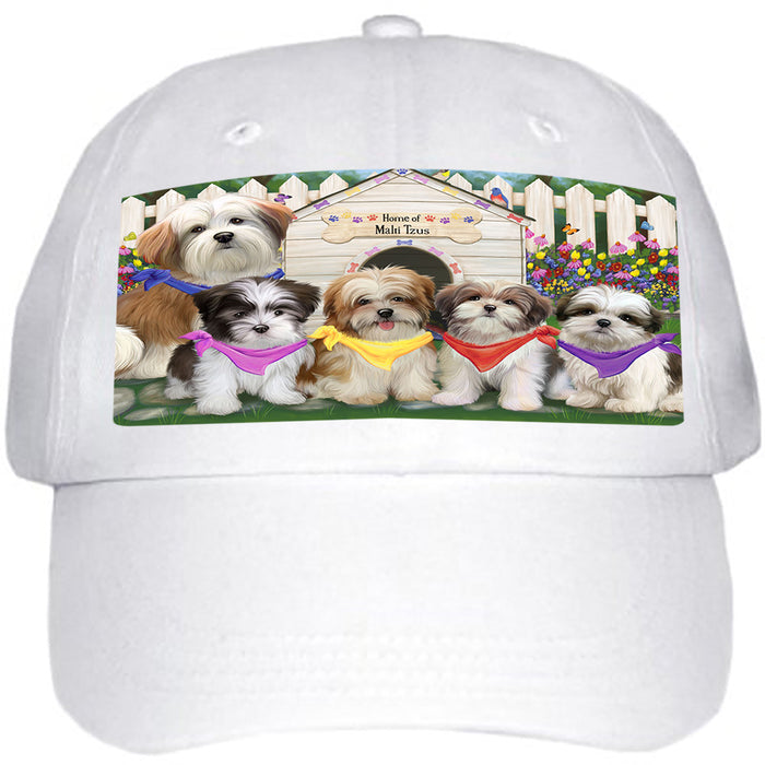 Spring Dog House Malti Tzus Dog Ball Hat Cap HAT53475