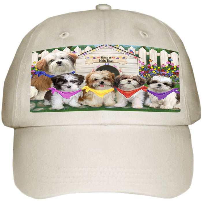 Spring Dog House Malti Tzus Dog Ball Hat Cap HAT53475