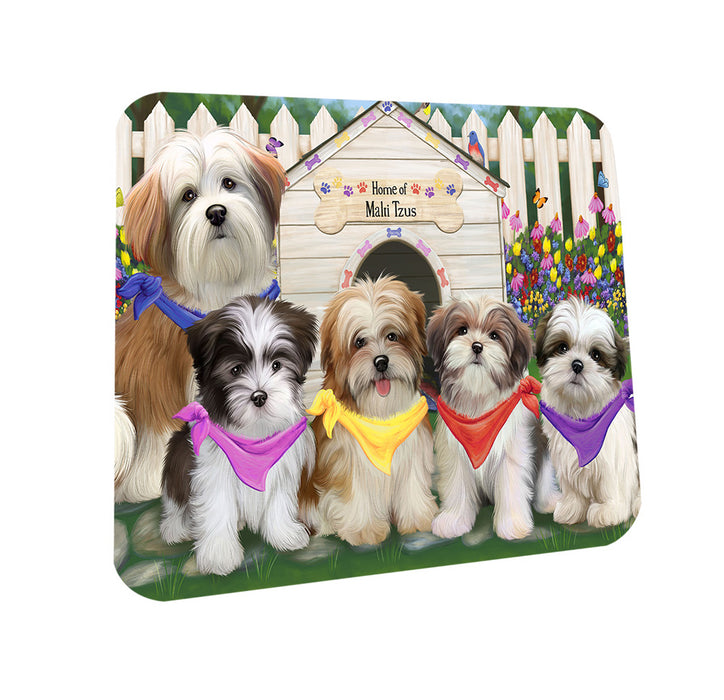 Spring Dog House Malti Tzus Dog Coasters Set of 4 CST49873