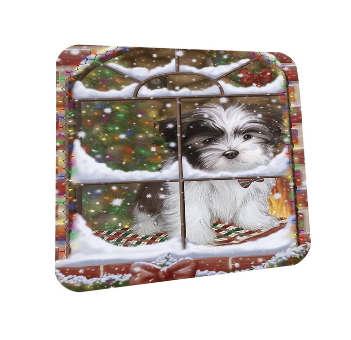 Please Come Home For Christmas Malti Tzu Dog Sitting In Window Coasters Set of 4 CST53898