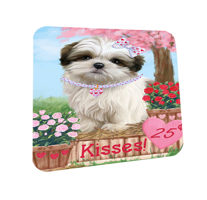 Rosie 25 Cent Kisses Malti Tzu Dog Coasters Set of 4 CST55928