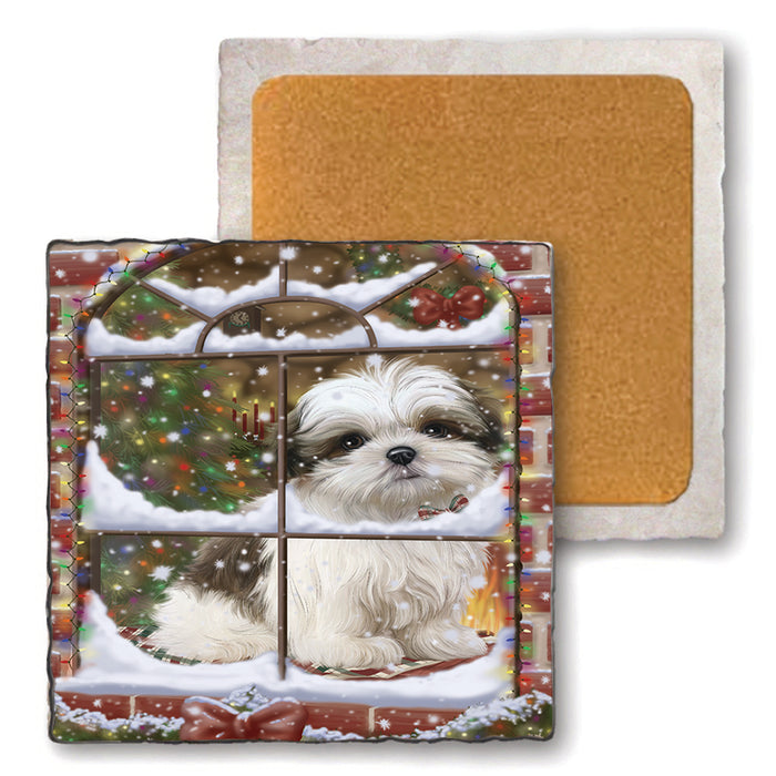 Please Come Home For Christmas Malti Tzu Dog Sitting In Window Set of 4 Natural Stone Marble Tile Coasters MCST48640