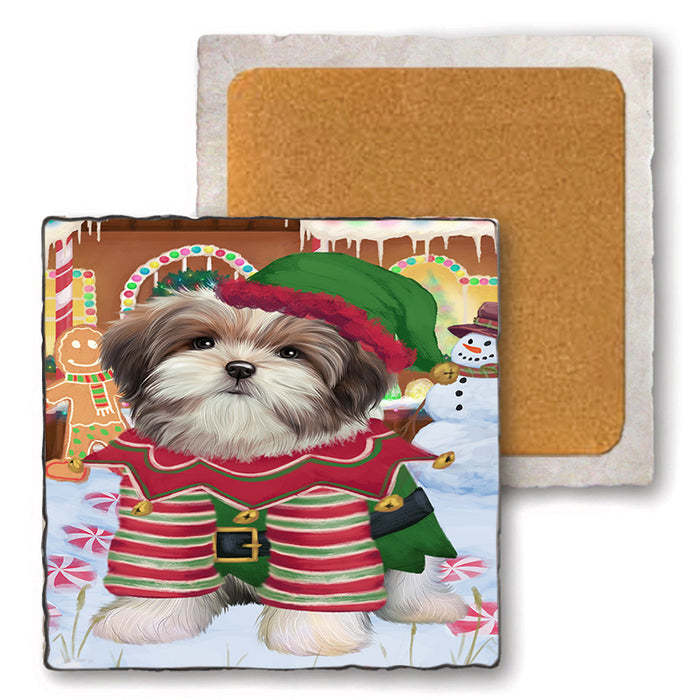 Christmas Gingerbread House Candyfest Malti Tzu Dog Set of 4 Natural Stone Marble Tile Coasters MCST51454