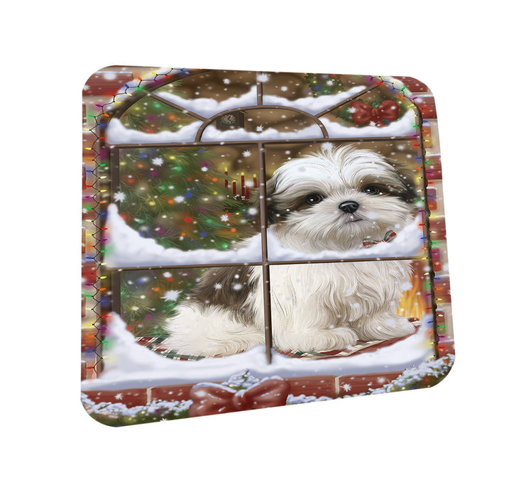 Please Come Home For Christmas Malti Tzu Dog Sitting In Window Coasters Set of 4 CST53598
