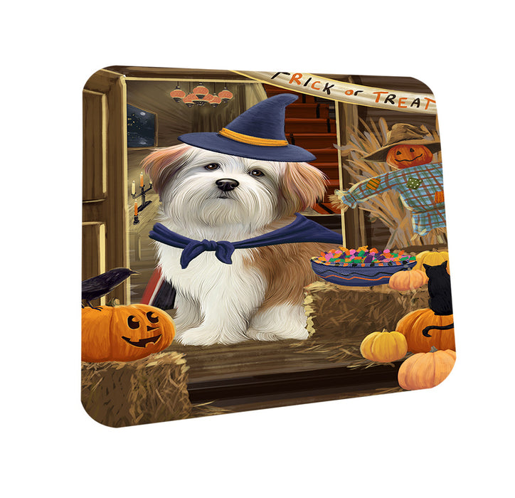 Enter at Own Risk Trick or Treat Halloween Malti Tzu Dog Coasters Set of 4 CST53152