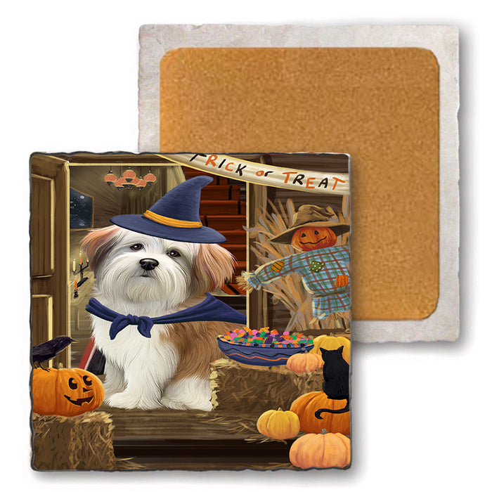 Enter at Own Risk Trick or Treat Halloween Malti Tzu Dog Set of 4 Natural Stone Marble Tile Coasters MCST48194