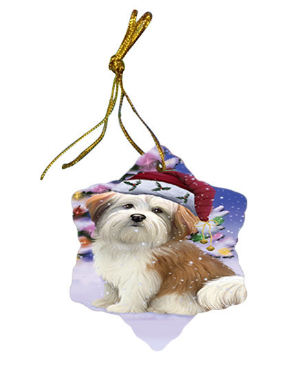 Winterland Wonderland Malti Tzu Dog In Christmas Holiday Scenic Background Star Porcelain Ornament SPOR53761