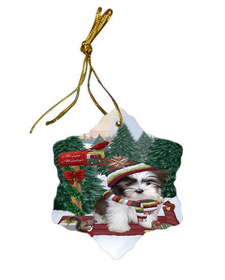 Merry Christmas Woodland Sled Malti Tzu Dog Star Porcelain Ornament SPOR55331