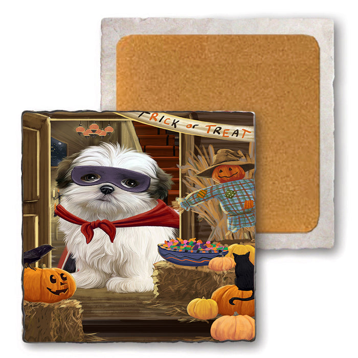 Enter at Own Risk Trick or Treat Halloween Malti Tzu Dog Set of 4 Natural Stone Marble Tile Coasters MCST48195